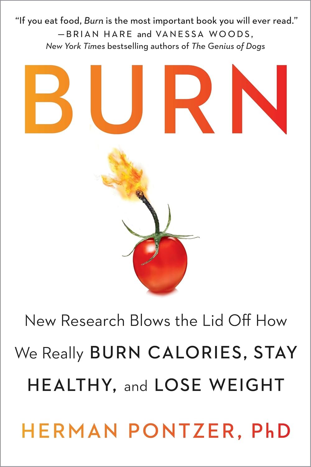 Burn by Herman Pontzer hardcover book cover